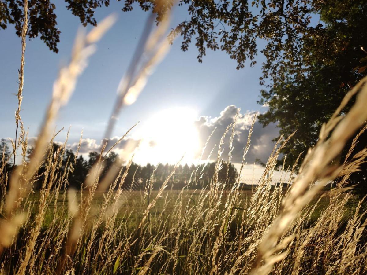 Wuivend Riet Gelegen Op Resort Venetie Giethoorn Kültér fotó
