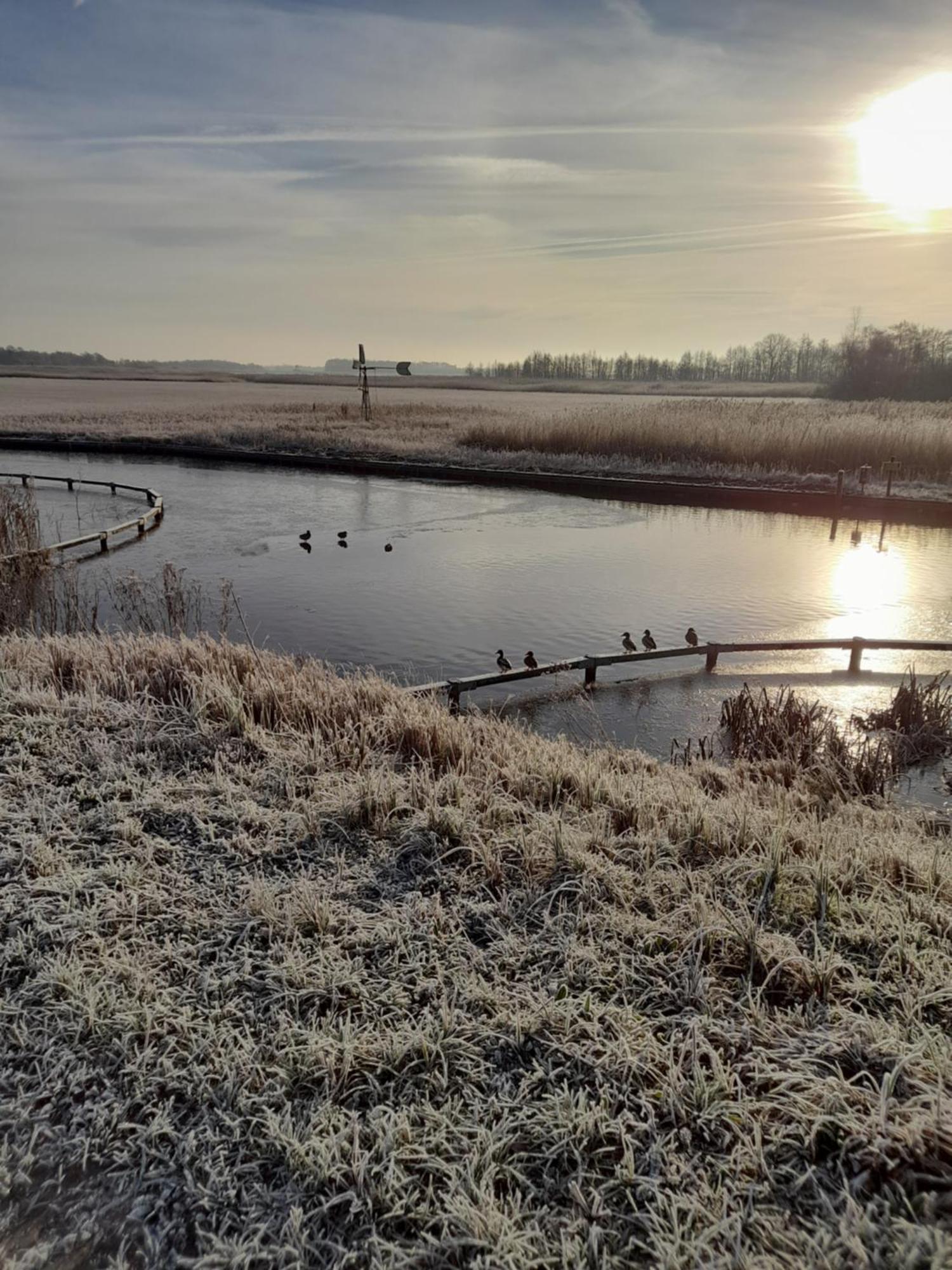 Wuivend Riet Gelegen Op Resort Venetie Giethoorn Szoba fotó